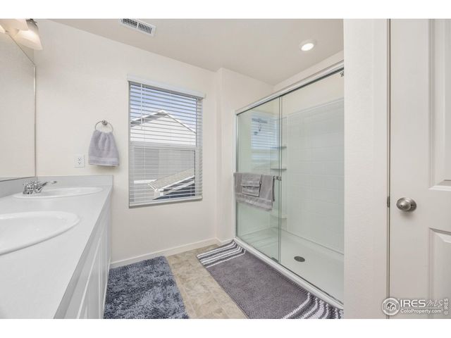 3725 Catmint St, Wellington, CO 80549