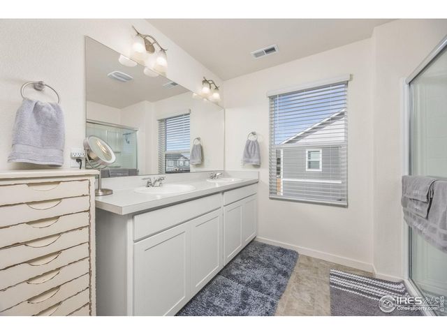 3725 Catmint St, Wellington, CO 80549