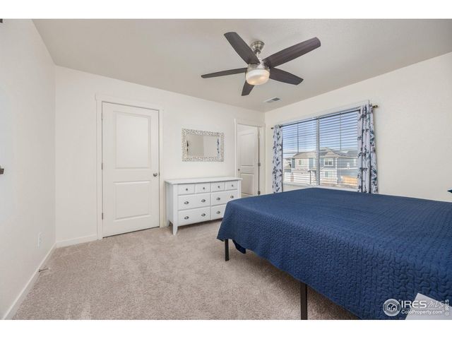 3725 Catmint St, Wellington, CO 80549