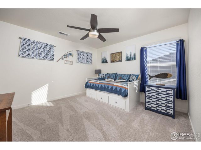 3725 Catmint St, Wellington, CO 80549