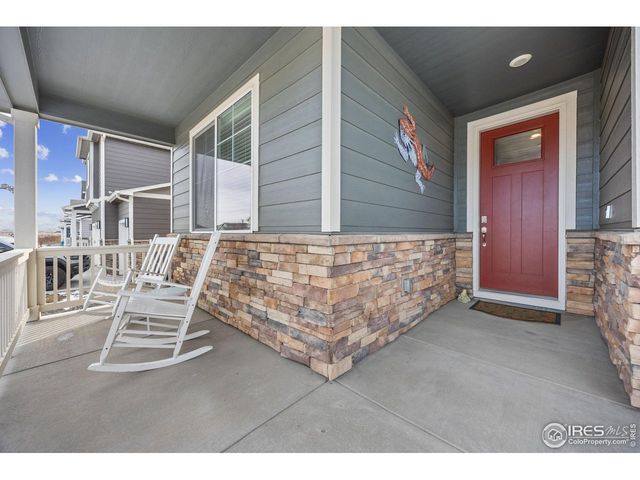 3725 Catmint St, Wellington, CO 80549