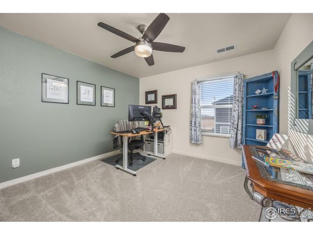 3725 Catmint St, Wellington, CO 80549