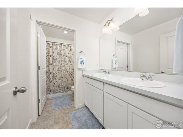 3725 Catmint St, Wellington, CO 80549