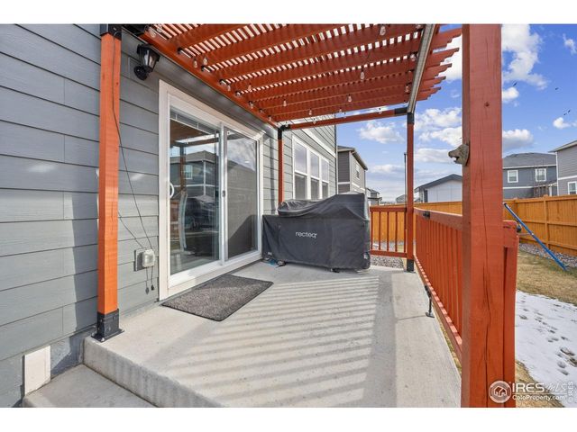 3725 Catmint St, Wellington, CO 80549