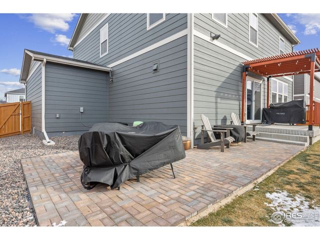 3725 Catmint St, Wellington, CO 80549