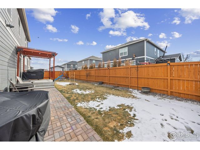3725 Catmint St, Wellington, CO 80549