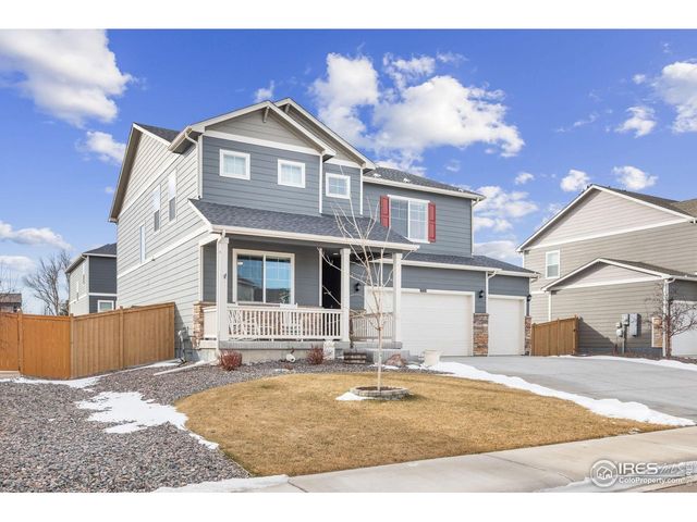 3725 Catmint St, Wellington, CO 80549