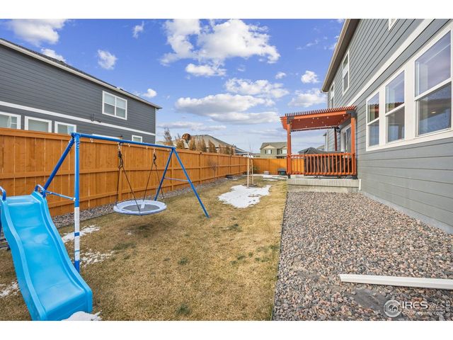 3725 Catmint St, Wellington, CO 80549