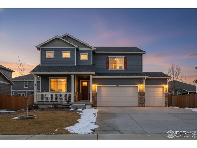 3725 Catmint St, Wellington, CO 80549