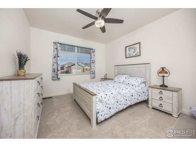 3725 Catmint St, Wellington, CO 80549