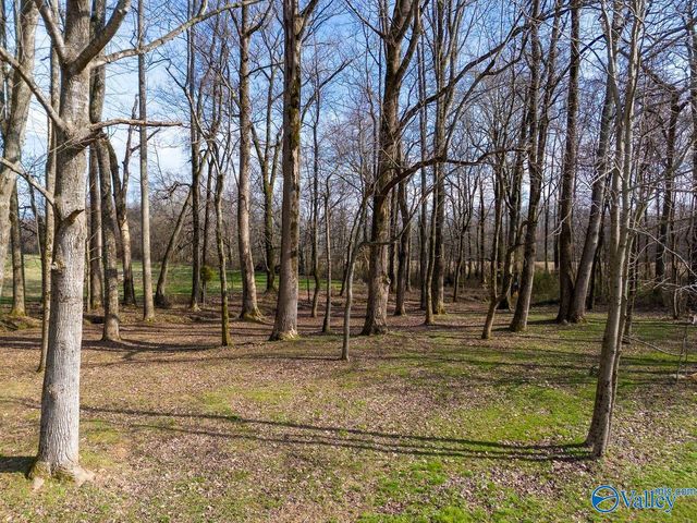 64 Elliot Road, Ardmore, TN 38449