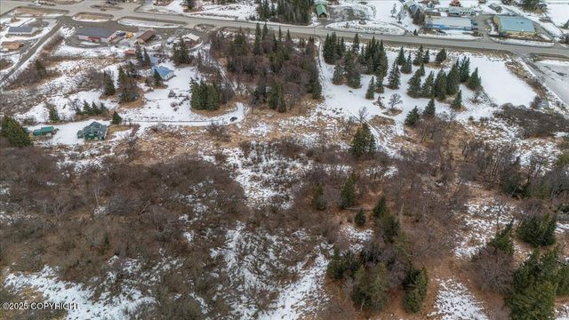 16120 Denali Court, Ninilchik, AK 99639