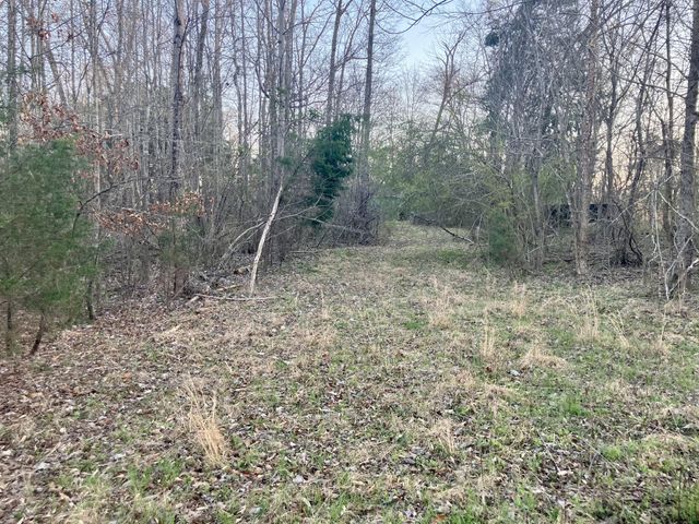2467 Highway 100 W, Decaturville, TN 38329