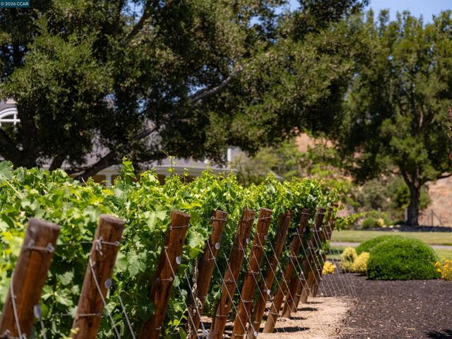5401 Penny Ln, Danville, CA 94506