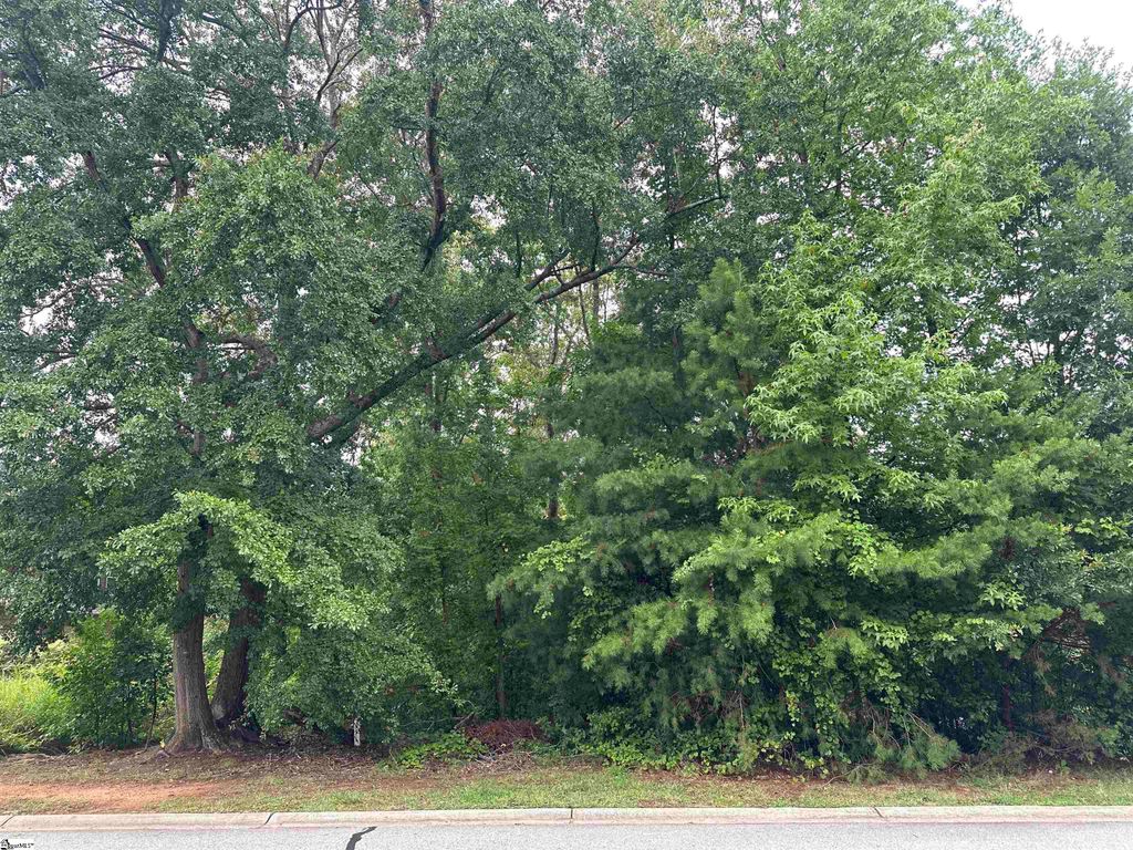 304 Chamblee Boulevard, Greenville, SC 29615