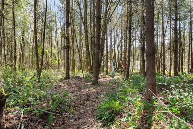 14229 Rainier View Drive SE, Yelm, WA 98597