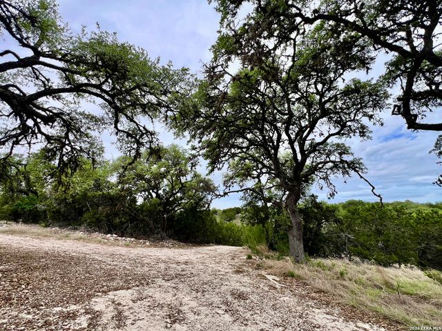 196 DINGLEY VIEW DR, Kerrville, TX 78028