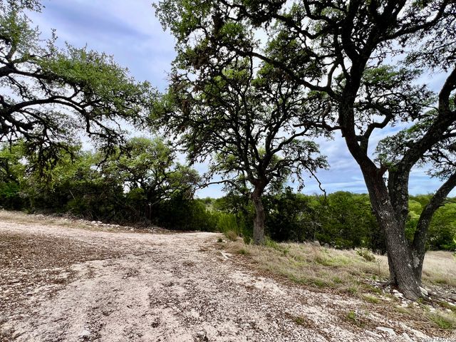 196 DINGLEY VIEW DR, Kerrville, TX 78028