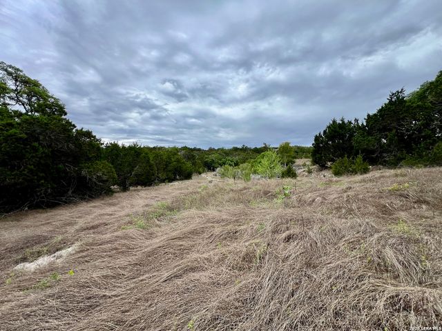 196 DINGLEY VIEW DR, Kerrville, TX 78028