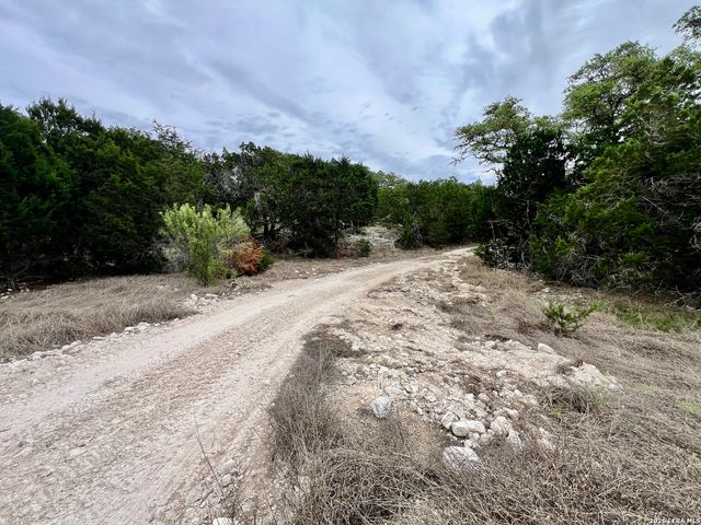 196 DINGLEY VIEW DR, Kerrville, TX 78028