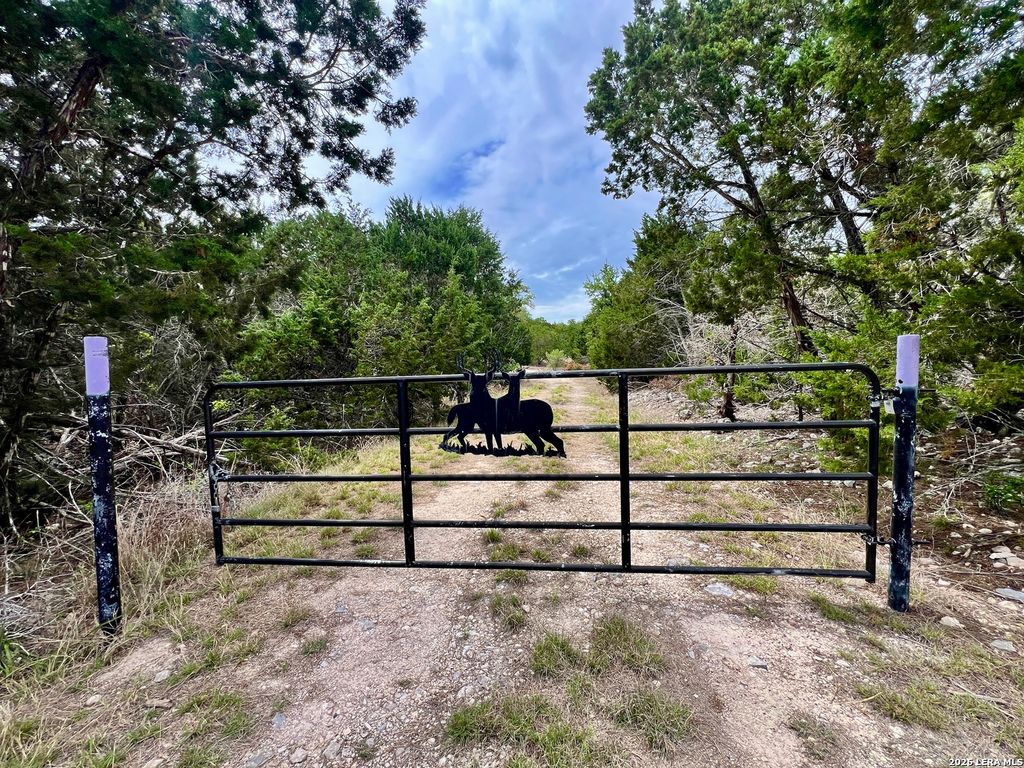 196 DINGLEY VIEW DR, Kerrville, TX 78028