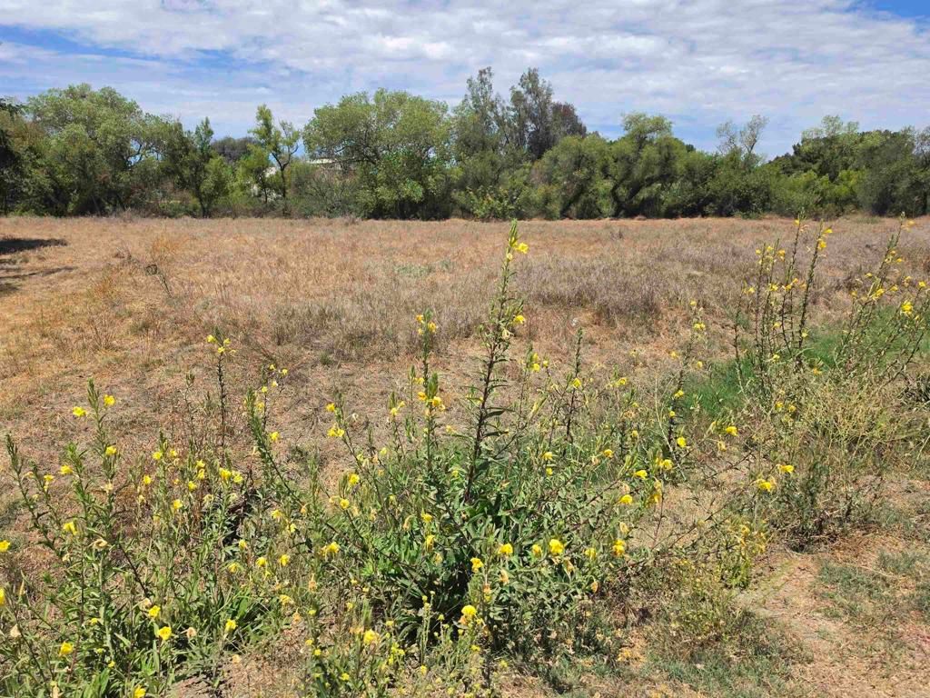 1.41 acres Durgin Street, Ramona, CA 92065 — photo 4