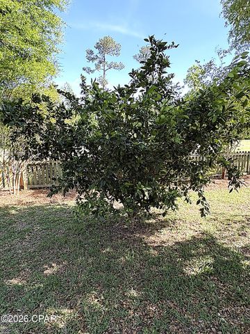 2874 Magnolia Blossom Lane, Marianna, FL 32446