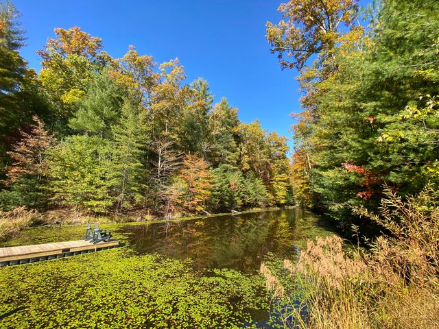 431 Harold Luke Road, Campton, KY 41301