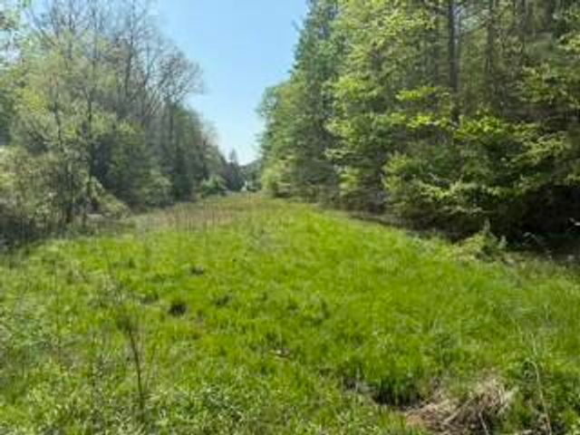 431 Harold Luke Road, Campton, KY 41301