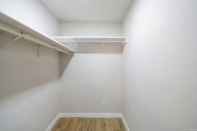 7819 Gideon Rock, San Antonio, TX 78254