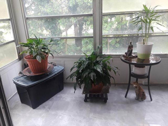 8205 NW 61st Street NW B202, Tamarac, FL 33321