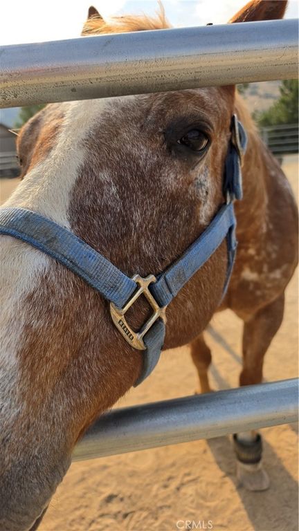 Image 12 of property listing at 32360 Navajo Springs, Wildomar, CA 92595