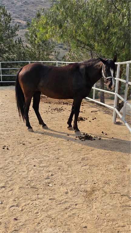 Image 13 of property listing at 32360 Navajo Springs, Wildomar, CA 92595