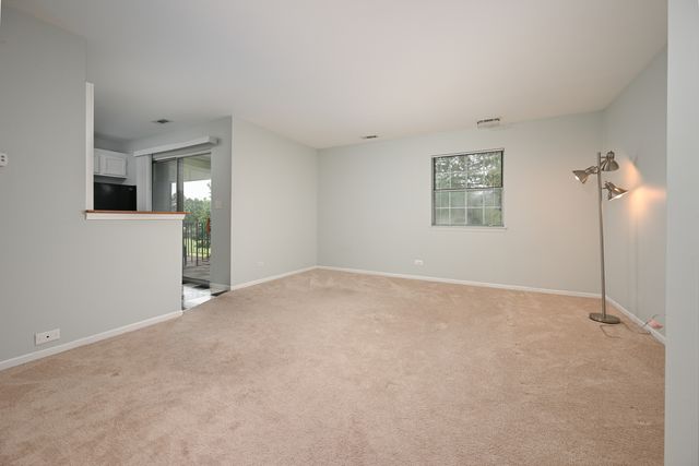 59 Gant Circle G, Streamwood, IL 60107