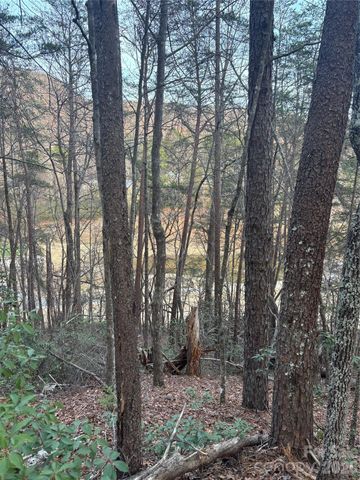 Lot 20 Nicklaus Lane, Lake Lure, NC 28746
