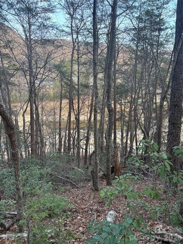 Lot 20 Nicklaus Lane, Lake Lure, NC 28746