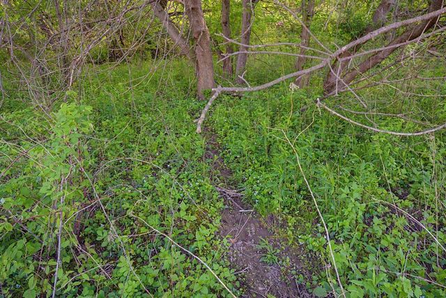 W5778 Koss ROAD, Onalaska, WI 54650