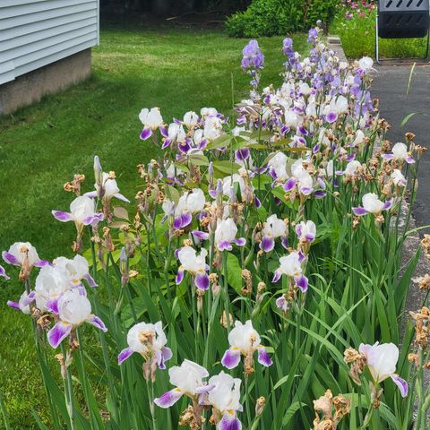 11 Nash Parkway, Somersworth, NH 03878