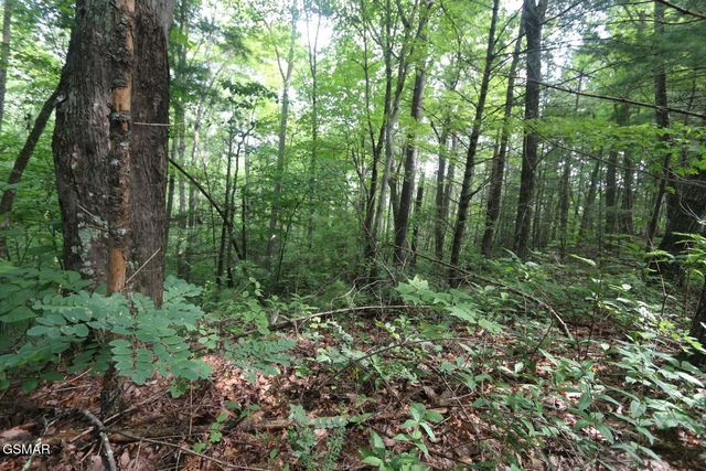 PARCEL 088 AMARLEE Way, Sevierville, TN 37876