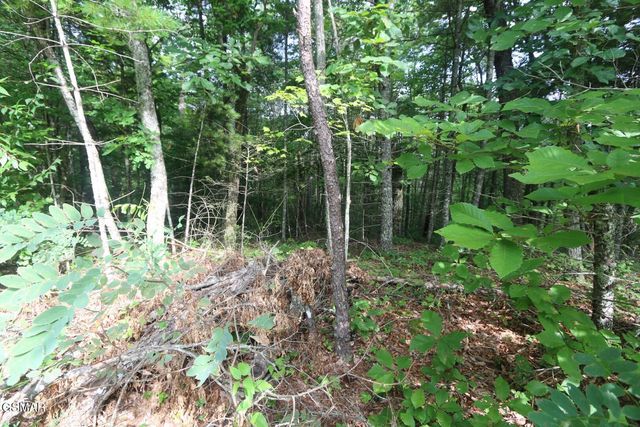 PARCEL 088 AMARLEE Way, Sevierville, TN 37876