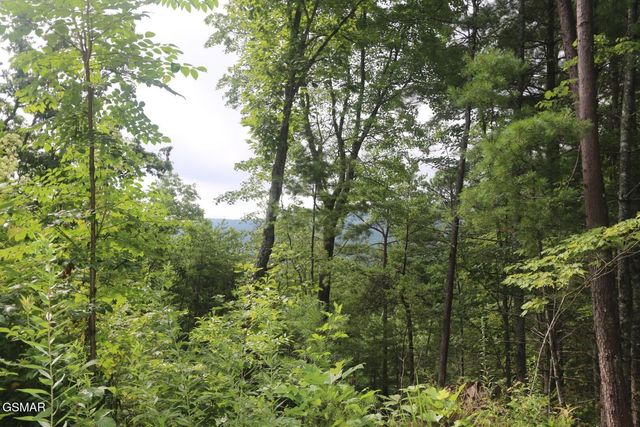 PARCEL 088 AMARLEE Way, Sevierville, TN 37876