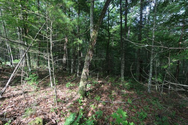 PARCEL 088 AMARLEE Way, Sevierville, TN 37876