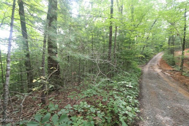 PARCEL 088 AMARLEE Way, Sevierville, TN 37876