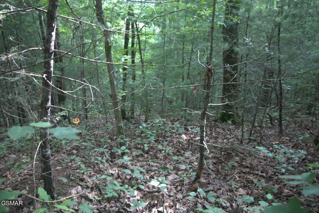 PARCEL 088 AMARLEE Way, Sevierville, TN 37876