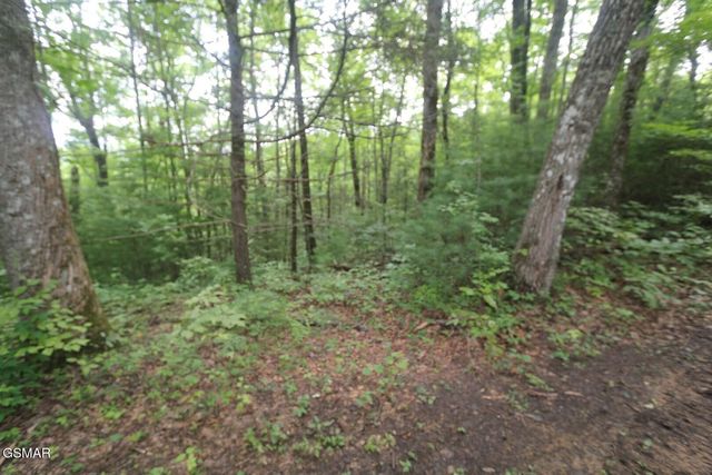PARCEL 088 AMARLEE Way, Sevierville, TN 37876