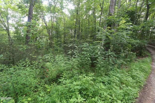 PARCEL 088 AMARLEE Way, Sevierville, TN 37876