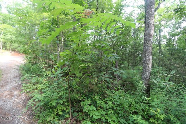 PARCEL 088 AMARLEE Way, Sevierville, TN 37876