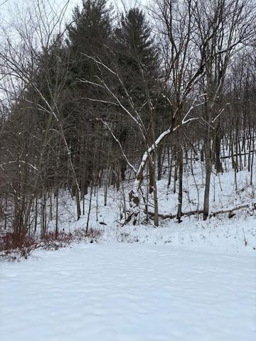 20497 Hady Lane, Gays Mills, WI 54631