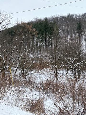 20497 Hady Lane, Gays Mills, WI 54631