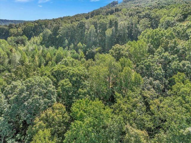 0 Browbend Drive, Guild, TN 37340